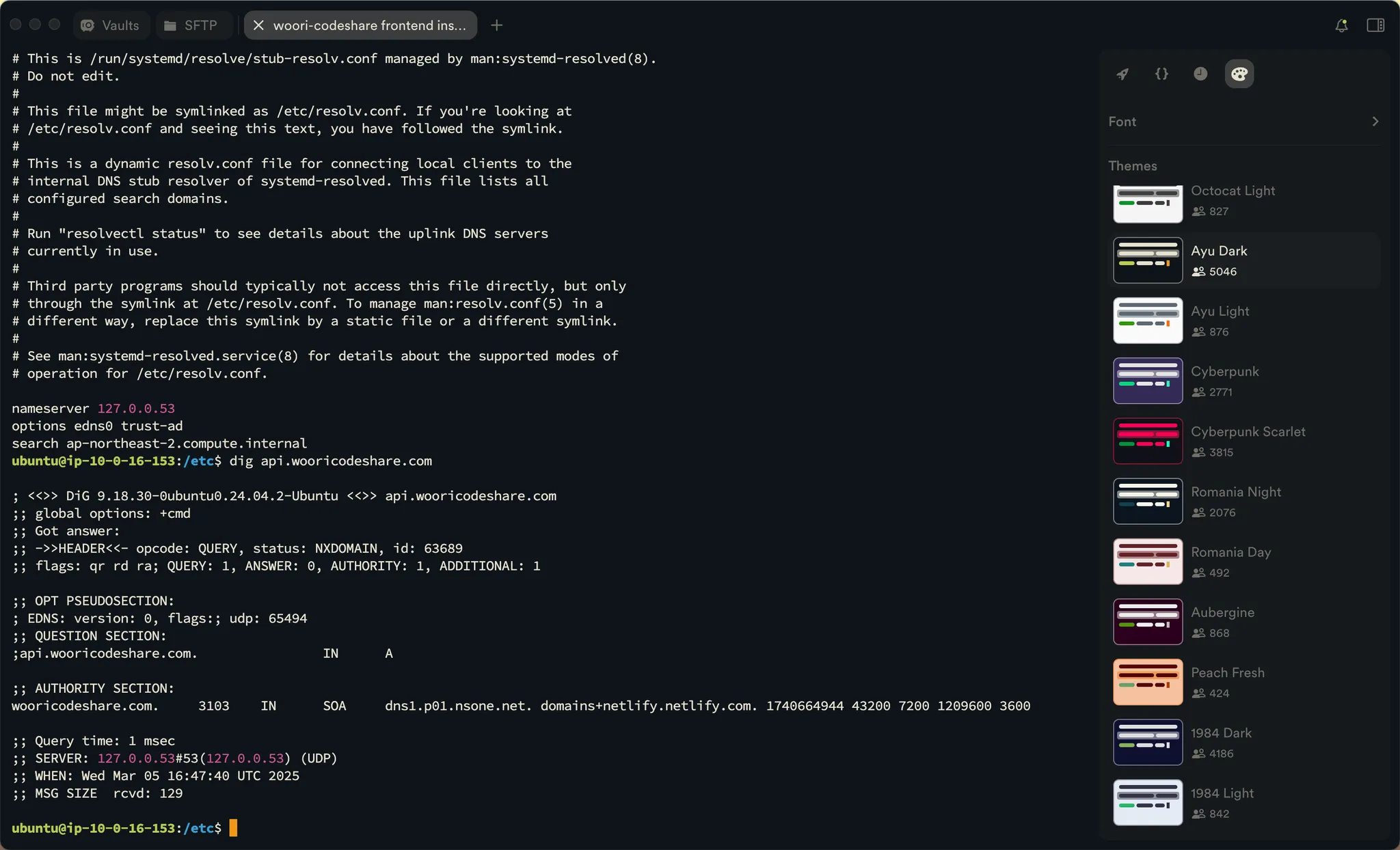 dig 명령어로 확인한 DNS 레코드